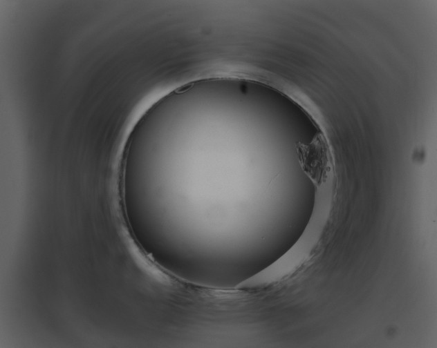 X0000096711152200802121219