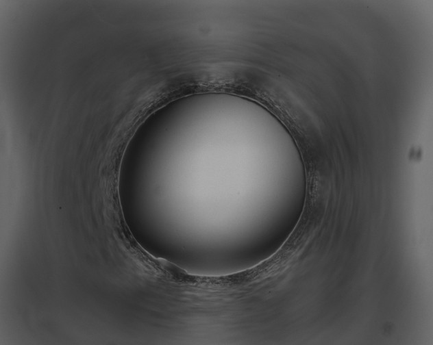 X0000096711153200802121219