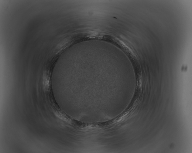 X0000096711154200802121219