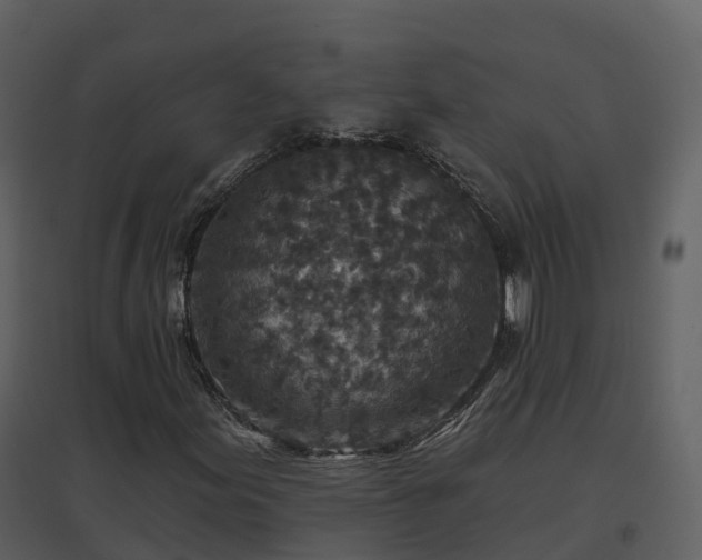 X0000096711155200802121219