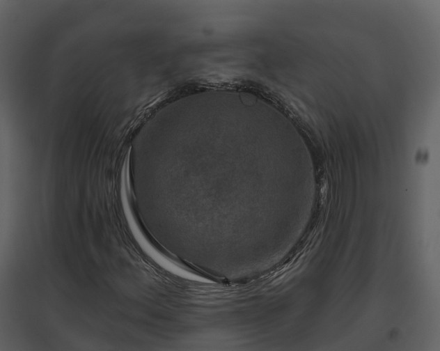 X0000096711156200802121219