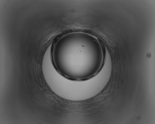 X0000096711157200802121219