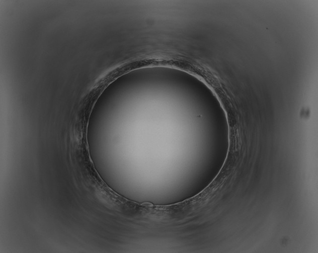 X0000096711158200802121219