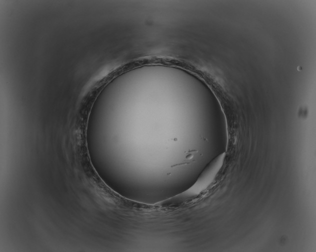 X0000096711159200802121219