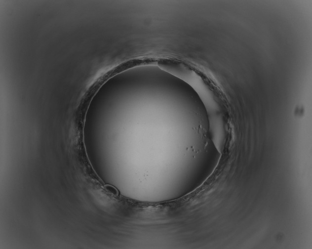 X0000096711160200802121219