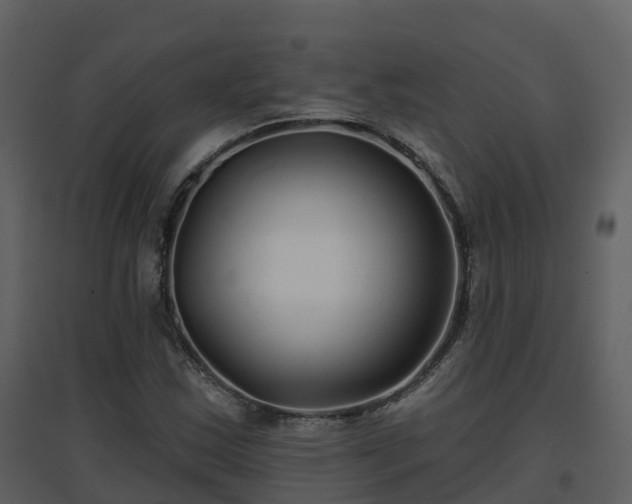 X0000096711163200802121219