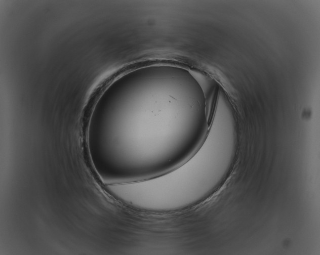 X0000096711164200802121219