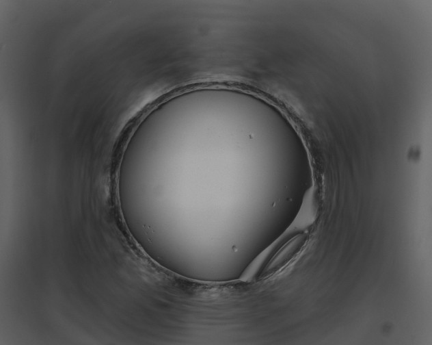 X0000096711165200802121219