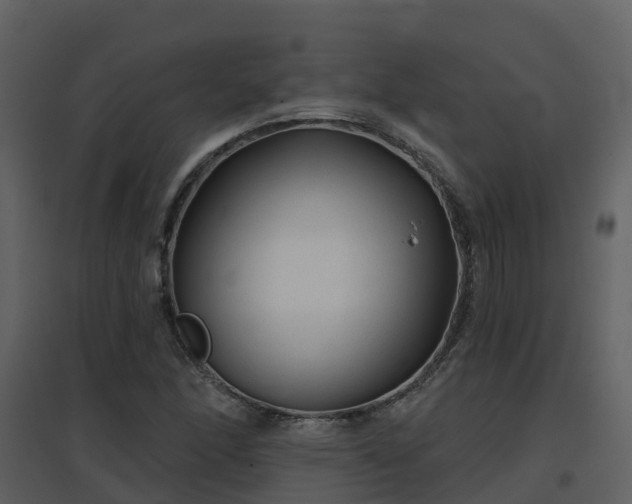 X0000096711166200802121218