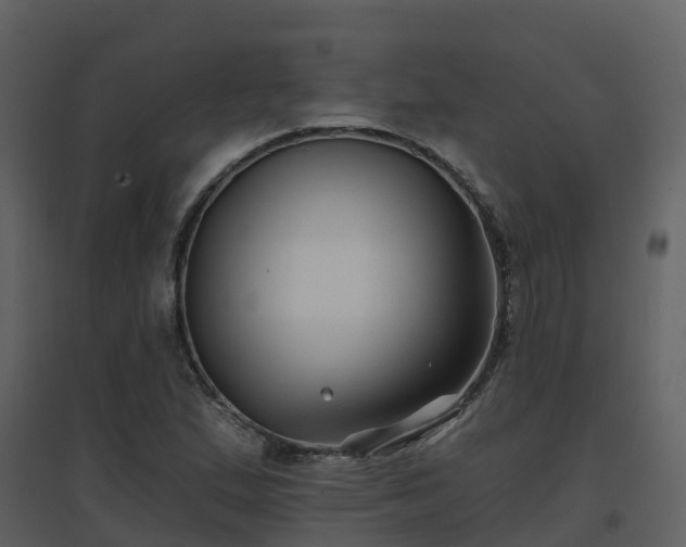 X0000096711167200802121218