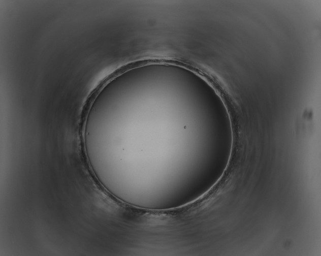 X0000096711168200802121218