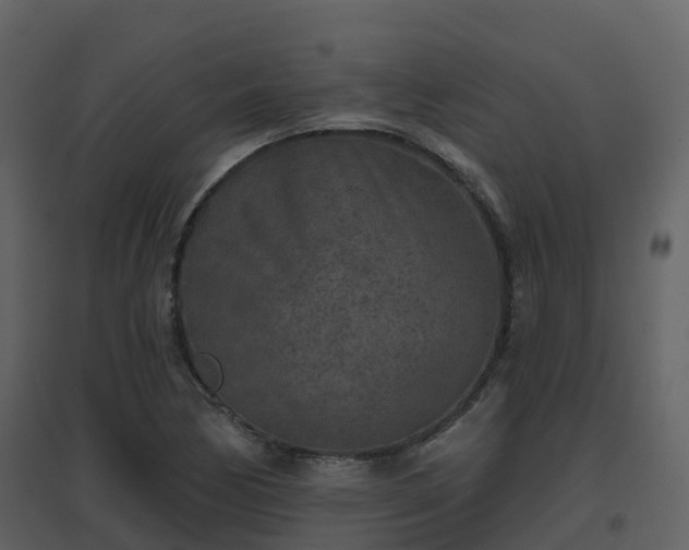 X0000096711170200802121218