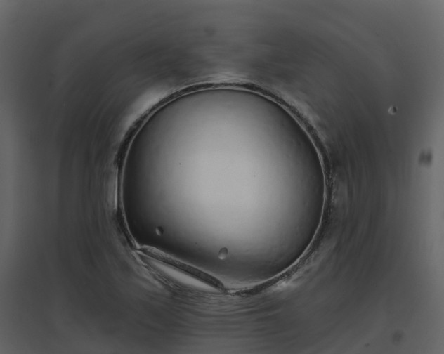 X0000096711171200802121218