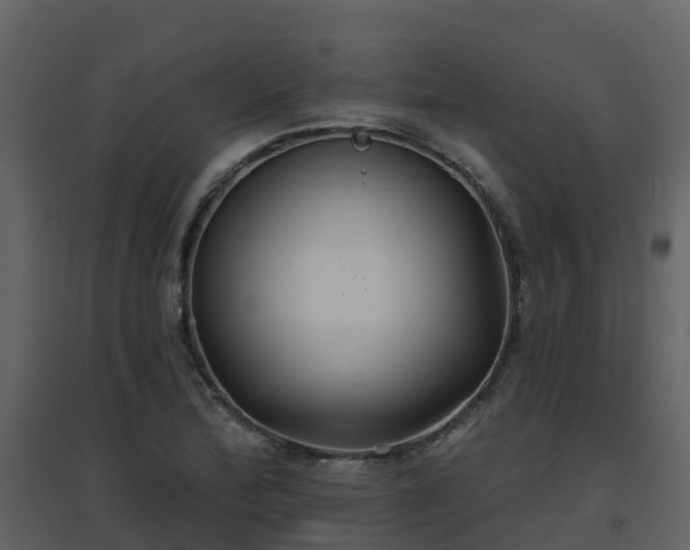 X0000096711172200802121218