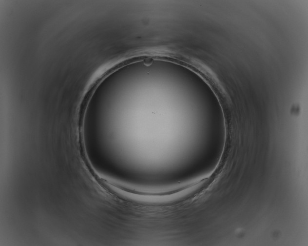 X0000096711176200802121218