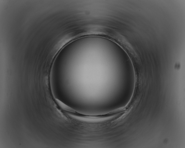 X0000096711177200802121218