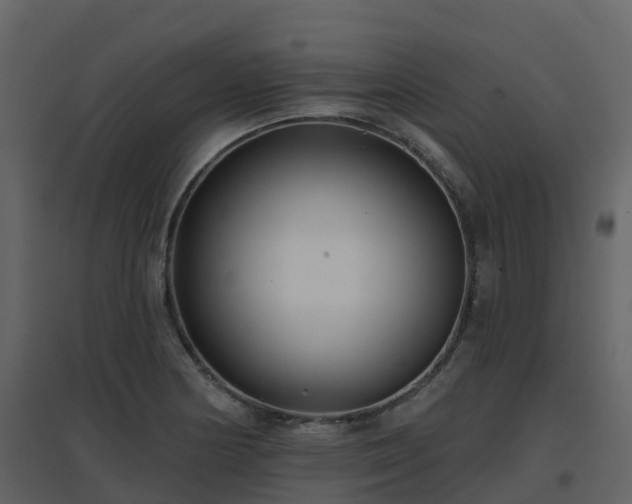 X0000096711178200802121218