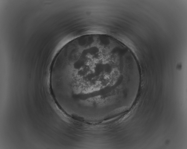 X0000096711179200802121218