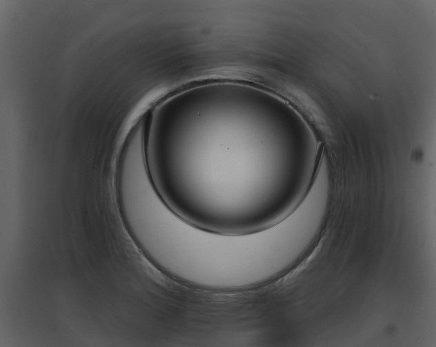 X0000096711180200802121218