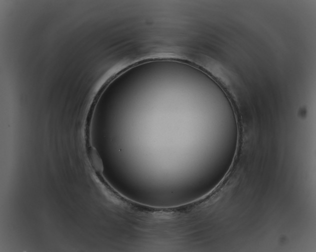 X0000096711181200802121218