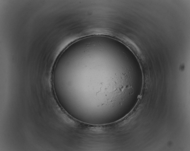 X0000096711182200802121218