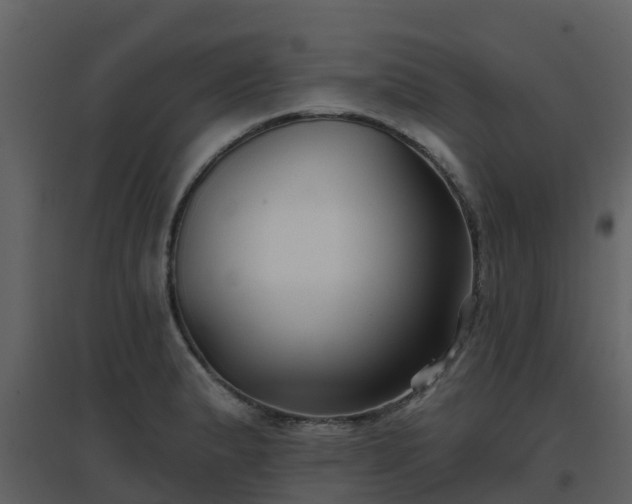 X0000096711183200802121218