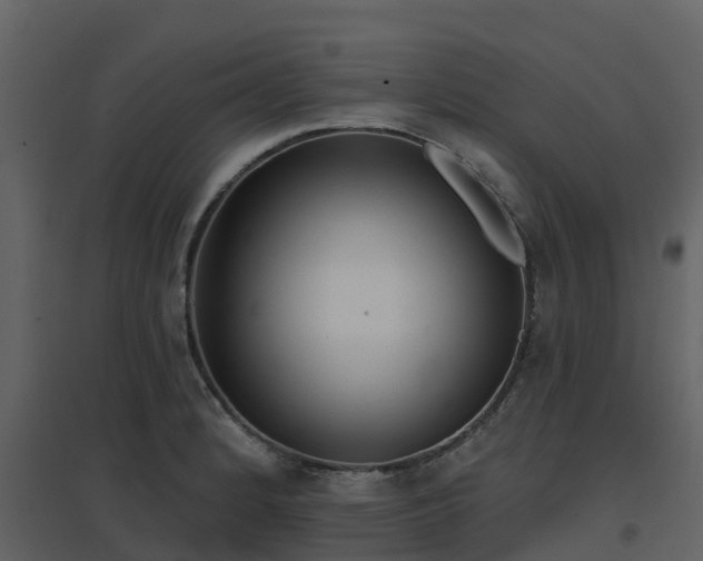 X0000096711184200802121218