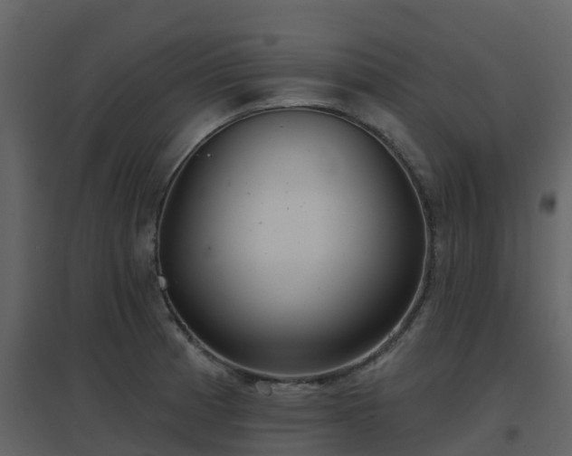 X0000096711185200802121218