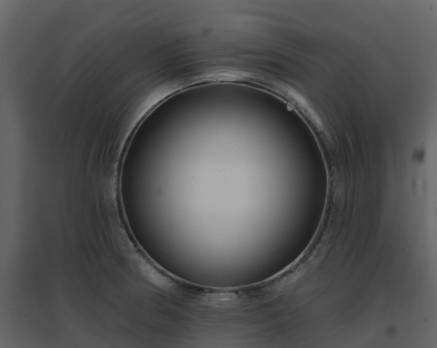 X0000096711186200802121218