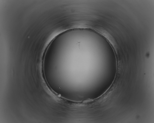 X0000096711187200802121218