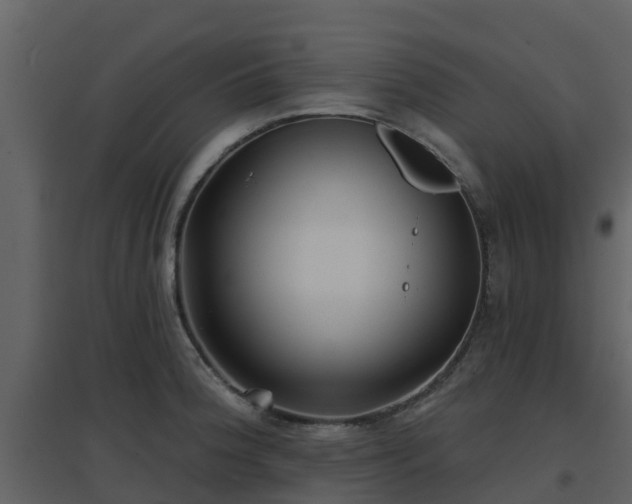 X0000096711188200802121218