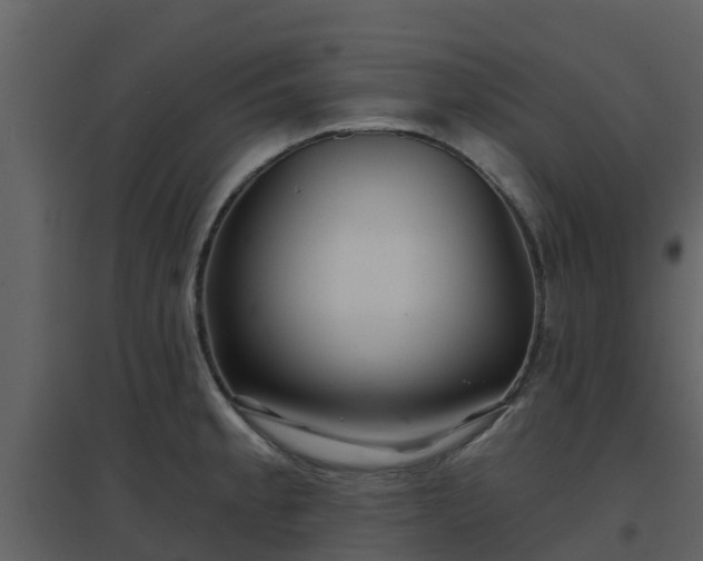 X0000096711189200802121218