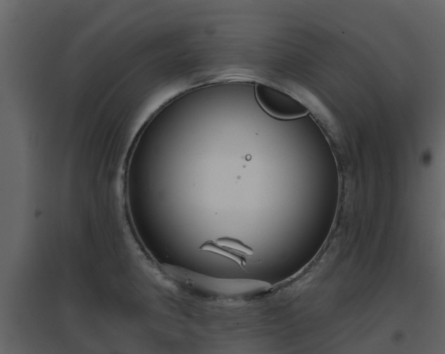 X0000096711190200802121218