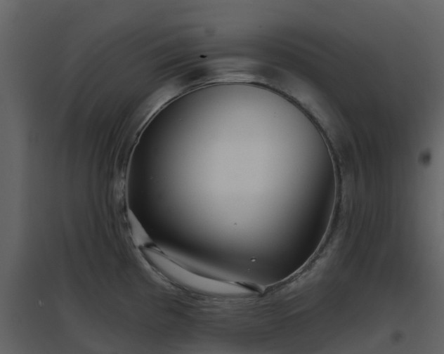 X0000096711193200802121218