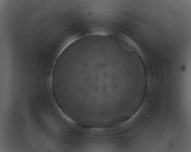 X0000096711194200802121218