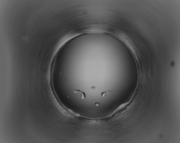 X0000096711195200802121218