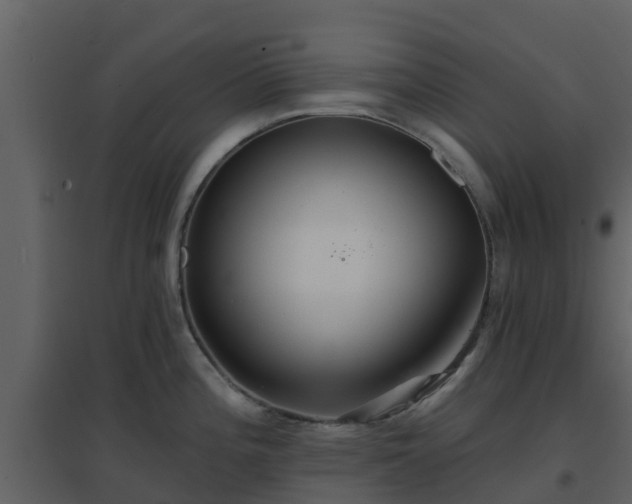 X0000096711196200802121218