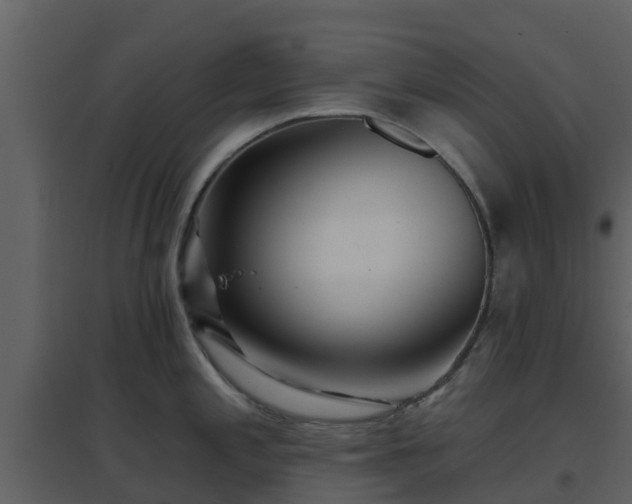 X0000096711197200802121218