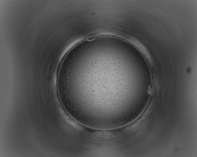 X0000096711198200802121218