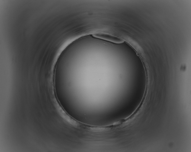 X0000096711200200802121218