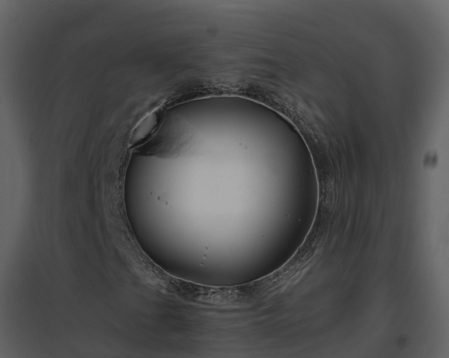 X0000096711201200802121217