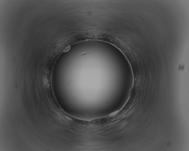 X0000096711202200802121217