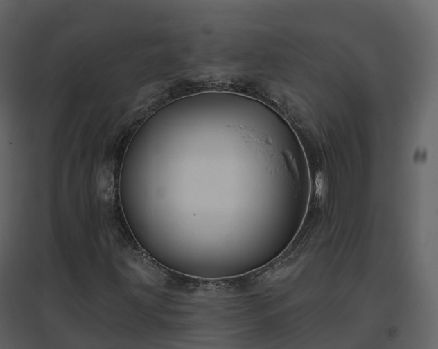 X0000096711203200802121217