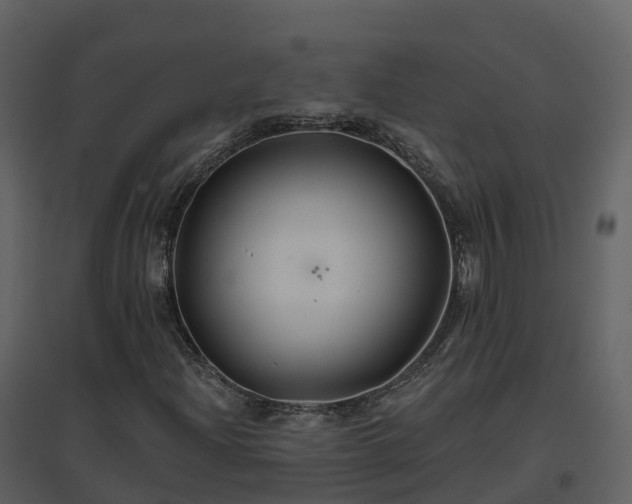 X0000096711204200802121217