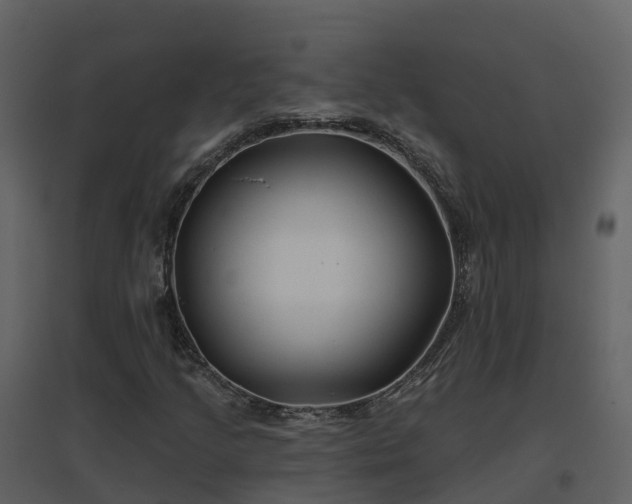 X0000096711205200802121217