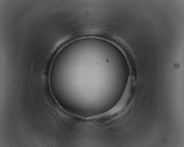 X0000096711210200802121217