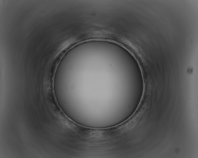 X0000096711211200802121217