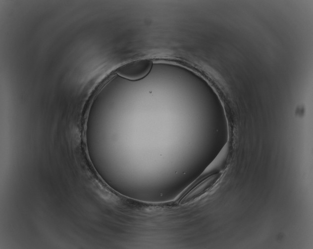 X0000096711212200802121218