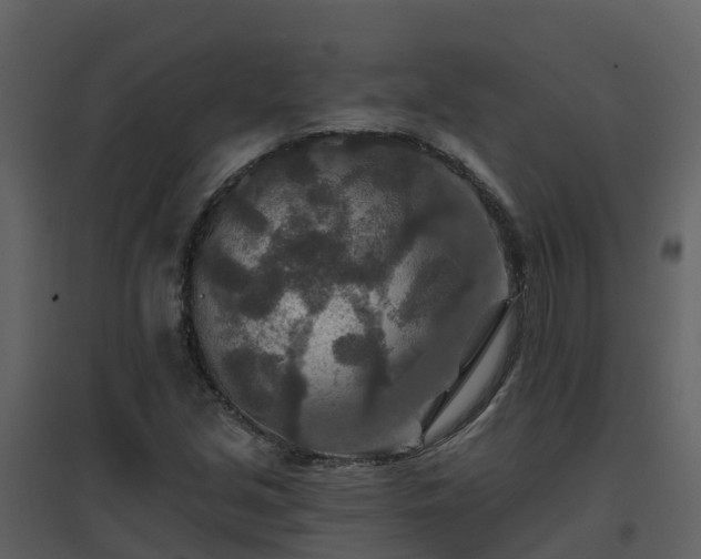 X0000096711213200802121218