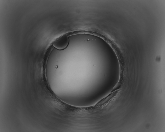 X0000096711214200802121218